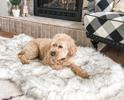 Faux Fur Orthopedic Dog Bed for Support