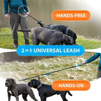 Reflective Comfort Leash Duo