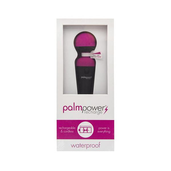 Palmpower Massage Wand Recharge Waterproof