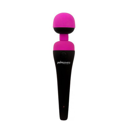 Palmpower Massage Wand Recharge Waterproof