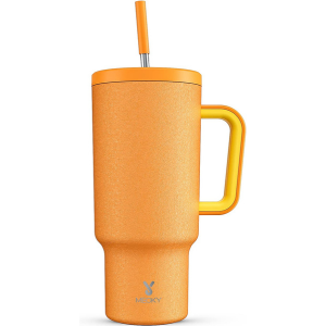 Travel Stainless Steel Mug